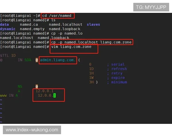 赛事IP版权保护机制在数字化环境内重构 强化了内容创作者变现权益